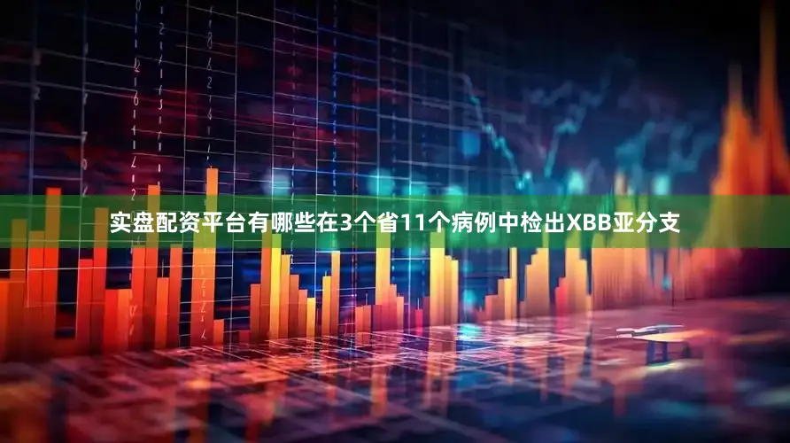 实盘配资平台有哪些在3个省11个病例中检出XBB亚分支