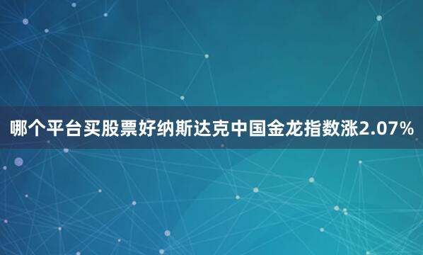 哪个平台买股票好纳斯达克中国金龙指数涨2.07%