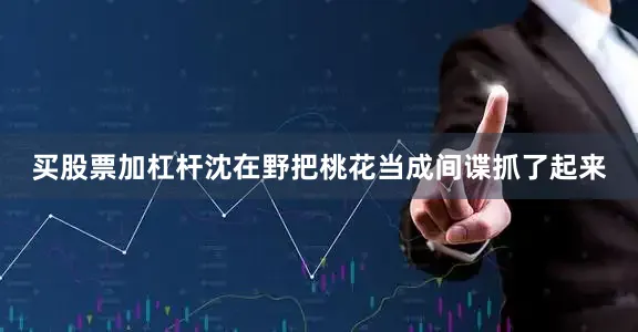 买股票加杠杆沈在野把桃花当成间谍抓了起来
