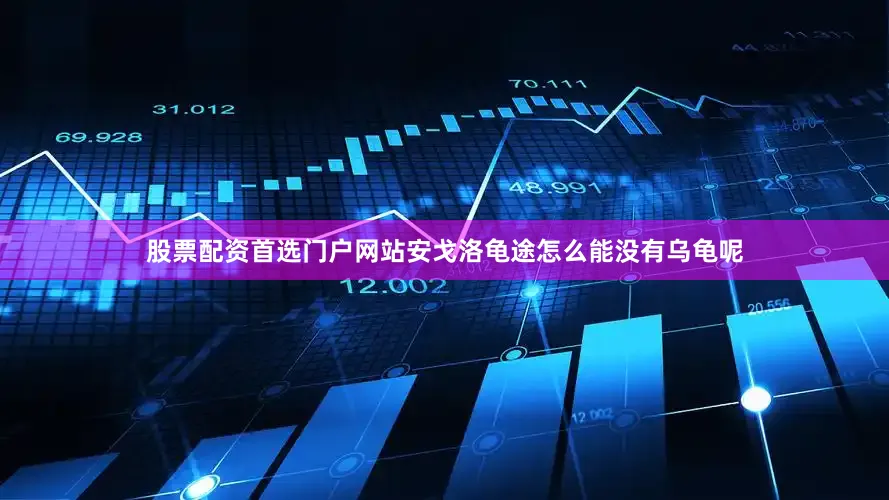 股票配资首选门户网站安戈洛龟途怎么能没有乌龟呢