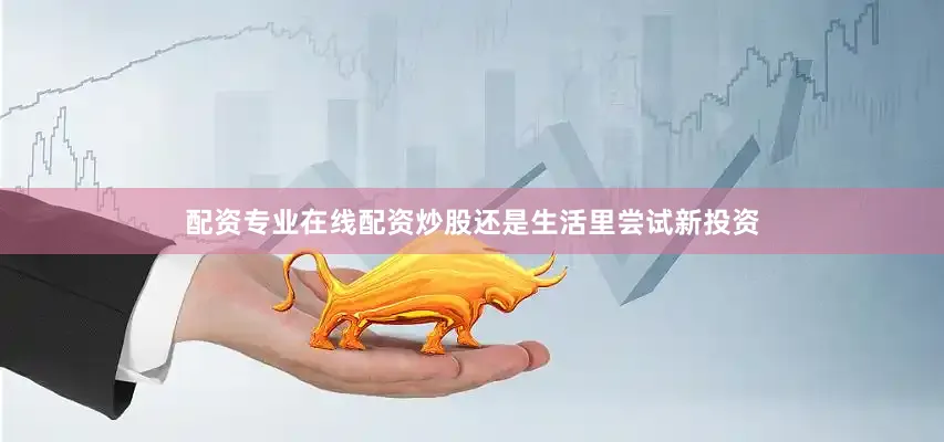 配资专业在线配资炒股还是生活里尝试新投资